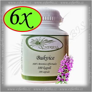 Ex Herbis Bukvice lékařská  6 x 100 tb.
