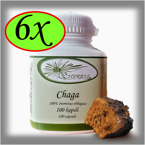 Ex Herbis Chaga - Rezavec šikmý 6 x 100 tb.