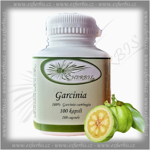 Ex Herbis Garcinia cambogia 100 tb.