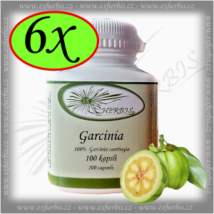 Ex Herbis Garcinia cambogia 6 x 100 tb.