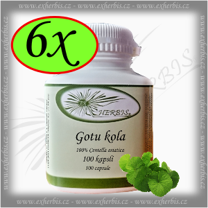 Ex Herbis Gotu kola - pupečník asijský 6 x 100 tb.