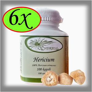 Ex Herbis Hericium Korálovec ježatý 6 x 100 tb.