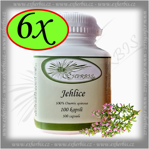 Ex Herbis Jehlice trnitá 6 x 100 tb.