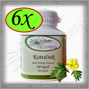 Ex Herbis Kotvičník zemní  kapsle 6 x 100tb.