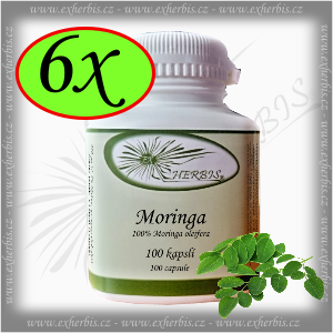 Ex Herbis Moringa olejodárná  6 x 100 tb.