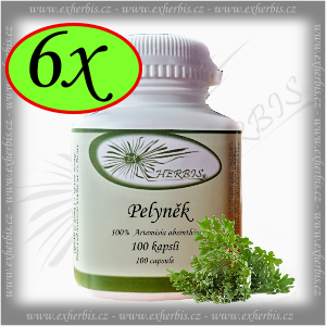 Ex Herbis Pelyněk pravý 6 x 100 tb.