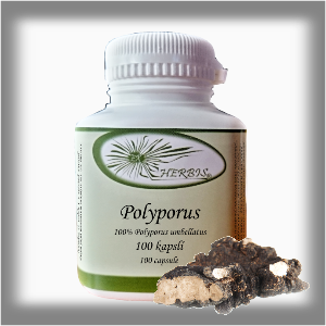 Ex Herbis Polyporus Choroš oříš 100 tb.