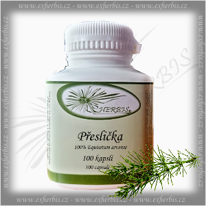 Ex Herbis Přeslička 100 tb