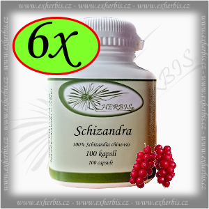 Ex Herbis Schizandra kapsle 6 x 100 tb.