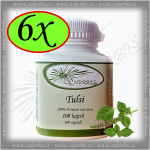 Ex Herbis Tulsi - Bazalka posvátná  kapsle 6 x 100 tob.
