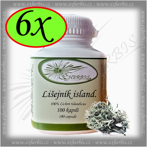 Lišejník islandský Ex Herbis 6 x 100 tb.
