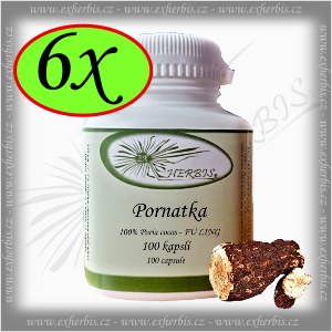 Pornatka Ex Herbis 6 x 100 tb.