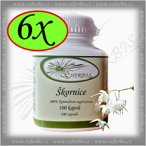 Škornice šípolistá  Ex Herbis 6 x 100 tb.