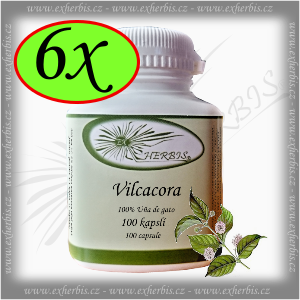 Vilcacora Ex Herbis 6 x 100 tb.