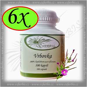 Vrbovka Ex Herbis 6 x 100 tb.