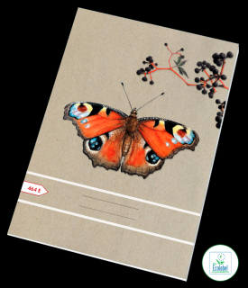 Sešit 464 Ecology