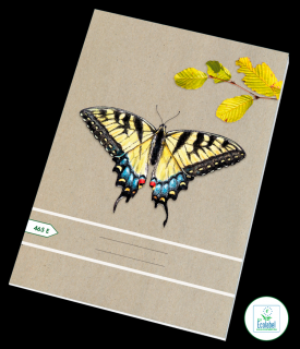 Sešit 465 Ecology