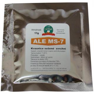 ALE MS-7 (Kvasnice pivní svrchní)
