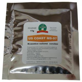 US COAST MS-97 (Kvasnice pivní svrchní)