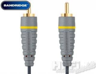 BANDRIDGE BN-BVL5010 (10m)