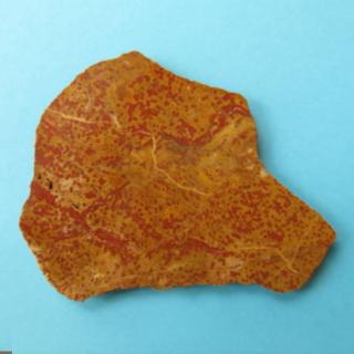 Železitý křemen z Čech 135x108mm