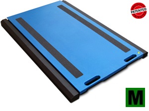 Vážící plošina DINI ARGEO WWSD10TM, 10t/5kg, EU ověření v ceně