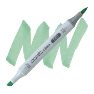 G02 Spectrum green COPIC Ciao