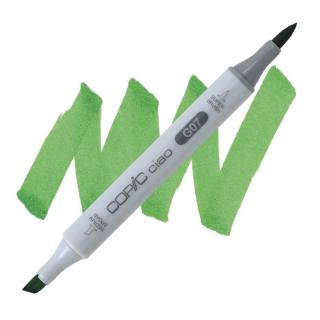 G07 Nile green COPIC Ciao