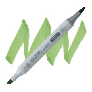 YG17 Grass green COPIC Ciao