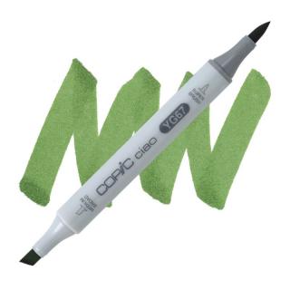 YG67 Moss COPIC Ciao