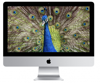 Apple iMac 21 2012 i5 2,9 GHz 16 GB 1 TB Fusion GT 650M
