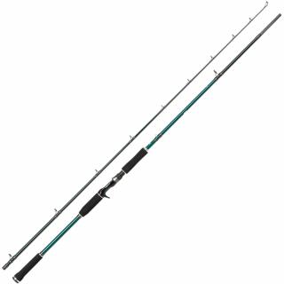 Abu Garcia Rybářský prut BEAST X PIKE 662 HP 1,98m 45-100g Jerk Casting