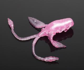 LIBRA LURES Pro Nymph – Pink Pearl 018 (Cheese) – 15ks/bal