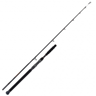 Prut Shimano Beastmaster AX Catfish Spinning Static 2,80m 350gr