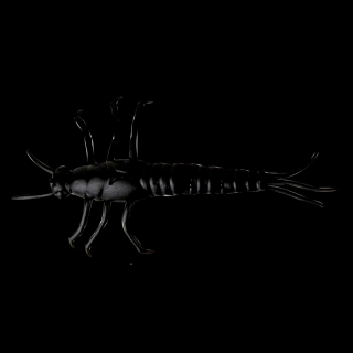 Savage Gear LB 3D Pvc Mayfly Nymph 5cm 1g Black 1 ks