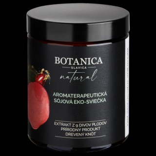 Botanica Slavica 9 divů plodů ručně odlévaná sójová svíčka 210 ml