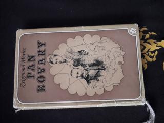 ANTIK: PAN BOVARY