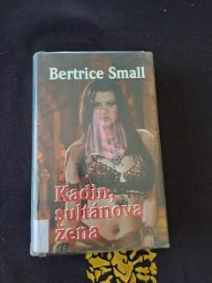 Bertrice Small Kadin, sultánova žena