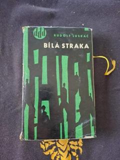 Bílá straka