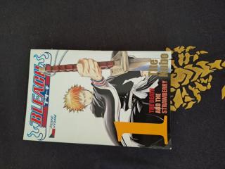 Bleach 01 - The Death and the Strawberry