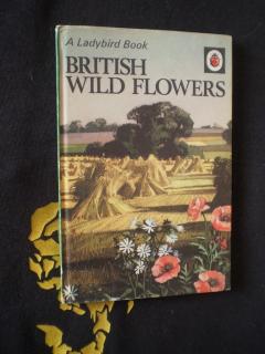 BRITISH WILD FLOWERS (Kniha britských divokých květin)