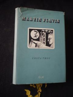 Cesta tmou - Martin Flavin