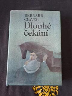 Clavel Dlouhé čekání