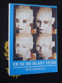 Co se do hlavy vejde