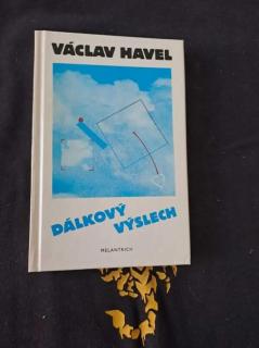 Dálkový výslech