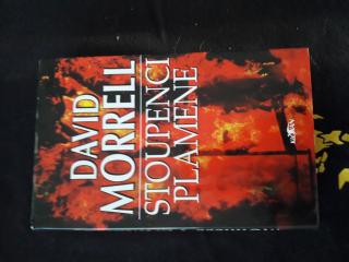 David Morrell - Stoupenci plamene