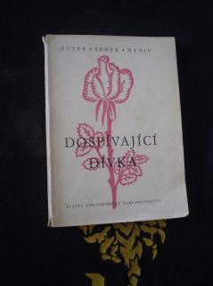 Dospívající dívka