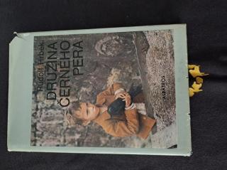 Družina Černého pera