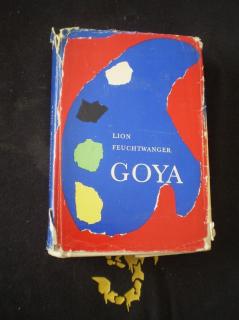 Goya, čili, Trpká cesta poznání