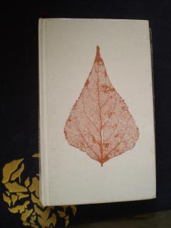 Jan Suchl - SÁZKA NA LÁSKU